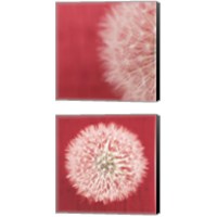Framed 'Dandelion on Red 2 Piece Canvas Print Set' border=