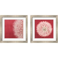 Framed Dandelion on Red 2 Piece Framed Art Print Set