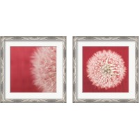 Framed Dandelion on Red 2 Piece Framed Art Print Set