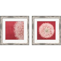 Framed 'Dandelion on Red 2 Piece Framed Art Print Set' border=