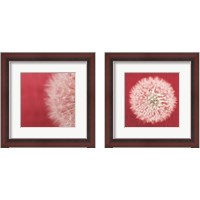 Framed 'Dandelion on Red 2 Piece Framed Art Print Set' border=