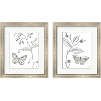 Framed 'Outdoor Beauties Butterfly 2 Piece Framed Art Print Set' border=