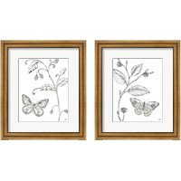 Framed Outdoor Beauties Butterfly 2 Piece Framed Art Print Set