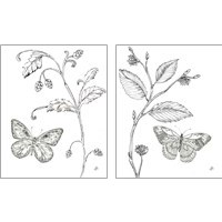 Framed 'Outdoor Beauties Butterfly 2 Piece Art Print Set' border=