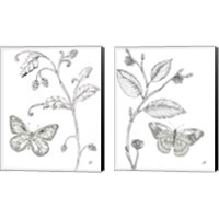 Framed 'Outdoor Beauties Butterfly 2 Piece Canvas Print Set' border=