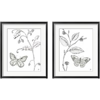 Framed 'Outdoor Beauties Butterfly 2 Piece Framed Art Print Set' border=