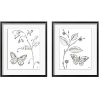 Framed Outdoor Beauties Butterfly 2 Piece Framed Art Print Set