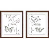 Framed 'Outdoor Beauties Butterfly 2 Piece Framed Art Print Set' border=