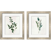 Framed Botanical Study Greenery 2 Piece Framed Art Print Set