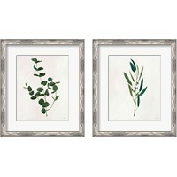 Framed Botanical Study Greenery 2 Piece Framed Art Print Set