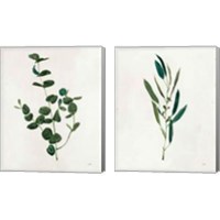 Framed 'Botanical Study Greenery 2 Piece Canvas Print Set' border=