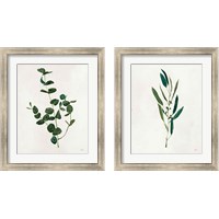 Framed 'Botanical Study Greenery 2 Piece Framed Art Print Set' border=