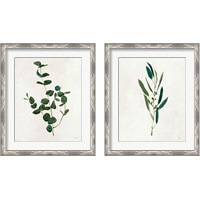 Framed Botanical Study Greenery 2 Piece Framed Art Print Set