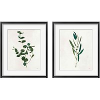 Framed 'Botanical Study Greenery 2 Piece Framed Art Print Set' border=