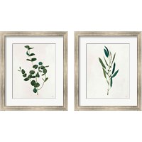 Framed 'Botanical Study Greenery 2 Piece Framed Art Print Set' border=