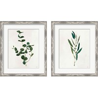 Framed 'Botanical Study Greenery 2 Piece Framed Art Print Set' border=