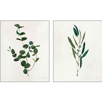 Framed Botanical Study Greenery 2 Piece Art Print Set