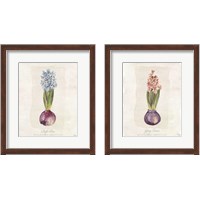 Framed 'Hyacinthus Orientalis 2 Piece Framed Art Print Set' border=