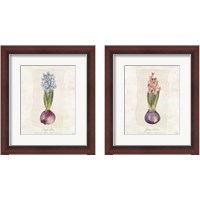 Framed Hyacinthus Orientalis 2 Piece Framed Art Print Set