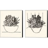 Framed Succulent Basket 2 Piece Canvas Print Set