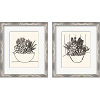 Framed 'Succulent Basket 2 Piece Framed Art Print Set' border=