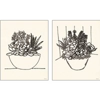 Framed 'Succulent Basket 2 Piece Art Print Set' border=
