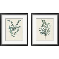 Framed Victorian Garden Greenery 2 Piece Framed Art Print Set