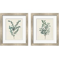 Framed 'Victorian Garden Greenery 2 Piece Framed Art Print Set' border=