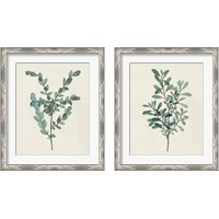 Framed 'Victorian Garden Greenery 2 Piece Framed Art Print Set' border=