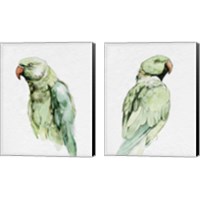 Framed 'Bright Parrot Portrait 2 Piece Canvas Print Set' border=
