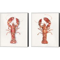 Framed Salty Lobster 2 Piece Canvas Print Set