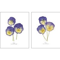 Framed 'Pressed Violas 2 Piece Art Print Set' border=