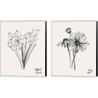 Framed 'Annual Flowers 2 Piece Canvas Print Set' border=