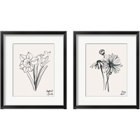 Framed 'Annual Flowers 2 Piece Framed Art Print Set' border=