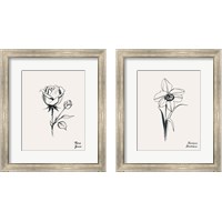 Framed 'Annual Flowers 2 Piece Framed Art Print Set' border=