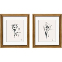 Framed Annual Flowers 2 Piece Framed Art Print Set