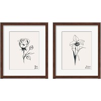 Framed 'Annual Flowers 2 Piece Framed Art Print Set' border=