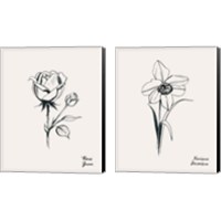 Framed 'Annual Flowers 2 Piece Canvas Print Set' border=
