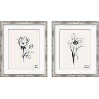 Framed 'Annual Flowers 2 Piece Framed Art Print Set' border=