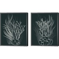 Framed Underwater Bouquet 2 Piece Canvas Print Set