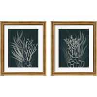Framed 'Underwater Bouquet 2 Piece Framed Art Print Set' border=