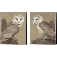 Framed 'Common Barn Owl Portrait 2 Piece Canvas Print Set' border=