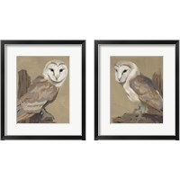 Framed Common Barn Owl Portrait 2 Piece Framed Art Print Set