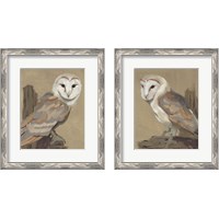 Framed Common Barn Owl Portrait 2 Piece Framed Art Print Set