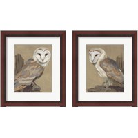 Framed 'Common Barn Owl Portrait 2 Piece Framed Art Print Set' border=