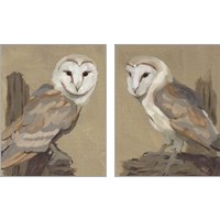 Framed 'Common Barn Owl Portrait 2 Piece Art Print Set' border=
