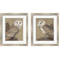 Framed 'Common Barn Owl Portrait 2 Piece Framed Art Print Set' border=