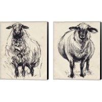 Framed 'Charcoal Sheep 2 Piece Canvas Print Set' border=