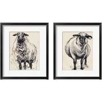 Framed Charcoal Sheep 2 Piece Framed Art Print Set