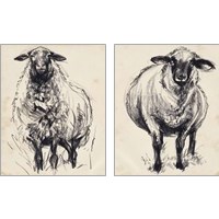Framed Charcoal Sheep 2 Piece Art Print Set